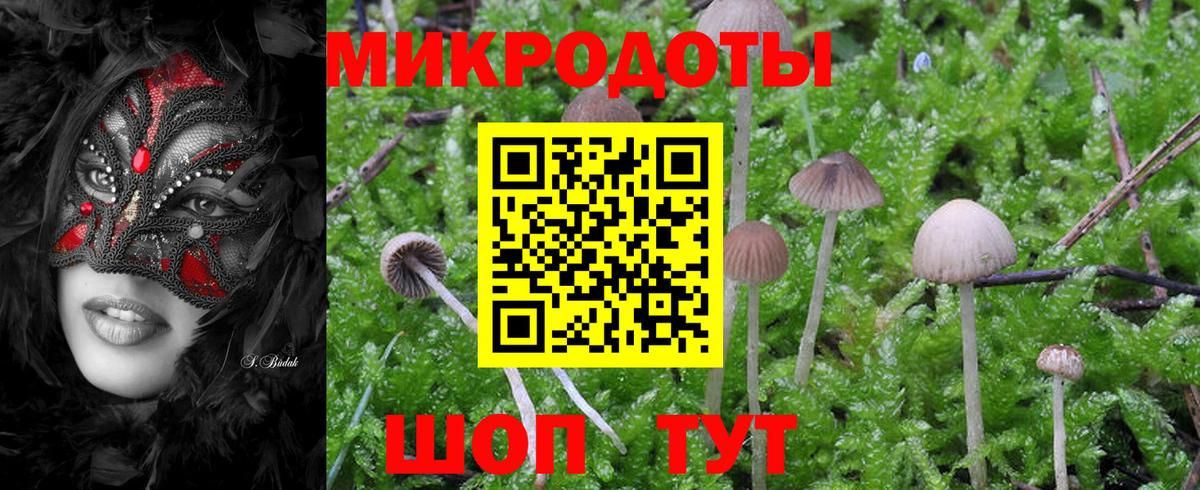 Галлюциногенные грибы прущие грибы Алушта