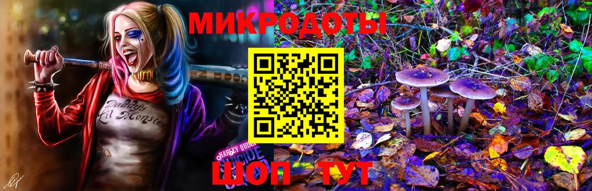 Галлюциногенные грибы MAGIC MUSHROOMS  Вход с VPN  Алушта 